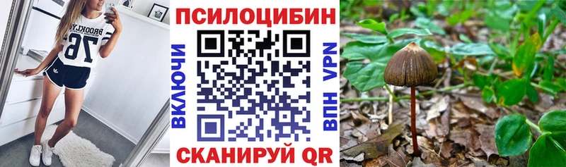 Галлюциногенные грибы Magic Shrooms  Нижнеудинск 